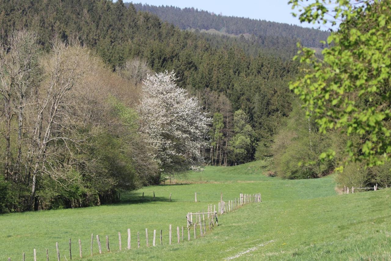 Le Clos Du Cerf - Le Sous-Bois Stoumont Zewnętrze zdjęcie