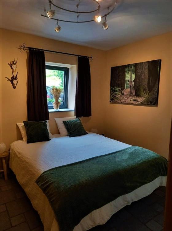Le Clos Du Cerf - Le Sous-Bois Stoumont Zewnętrze zdjęcie