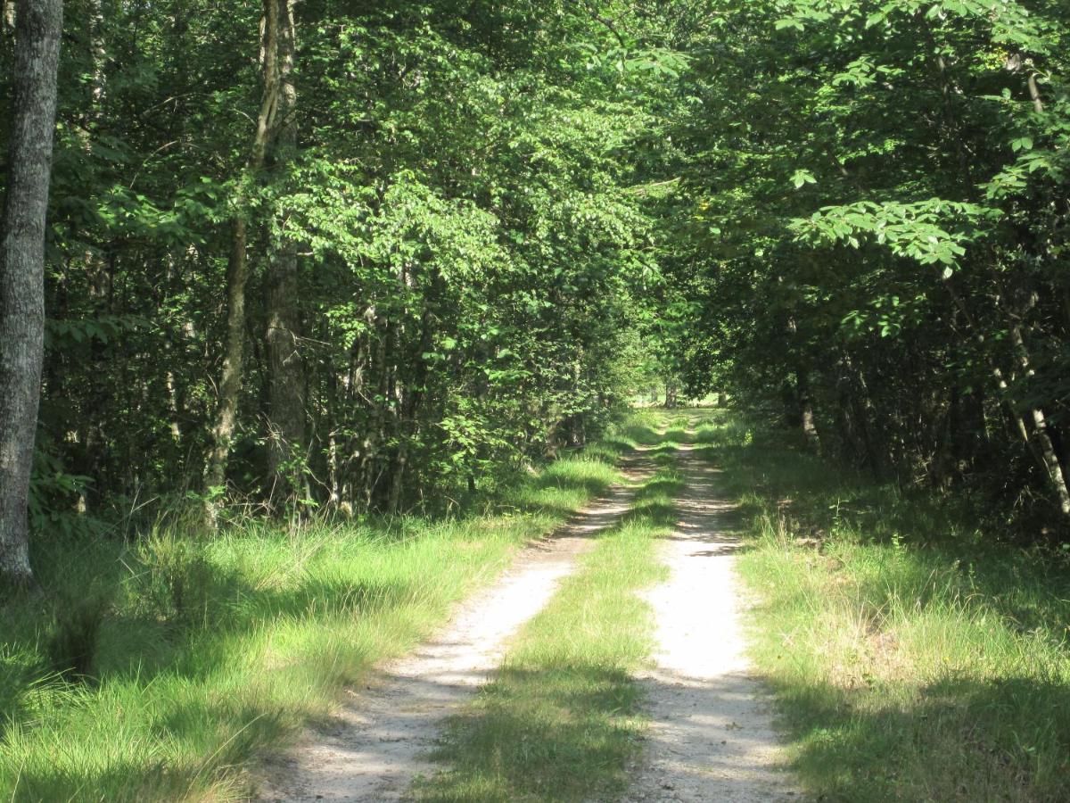 Le Clos Du Cerf - Le Sous-Bois Stoumont Zewnętrze zdjęcie