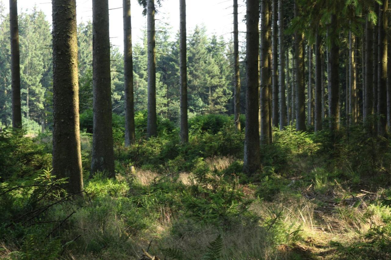 Le Clos Du Cerf - Le Sous-Bois Stoumont Zewnętrze zdjęcie