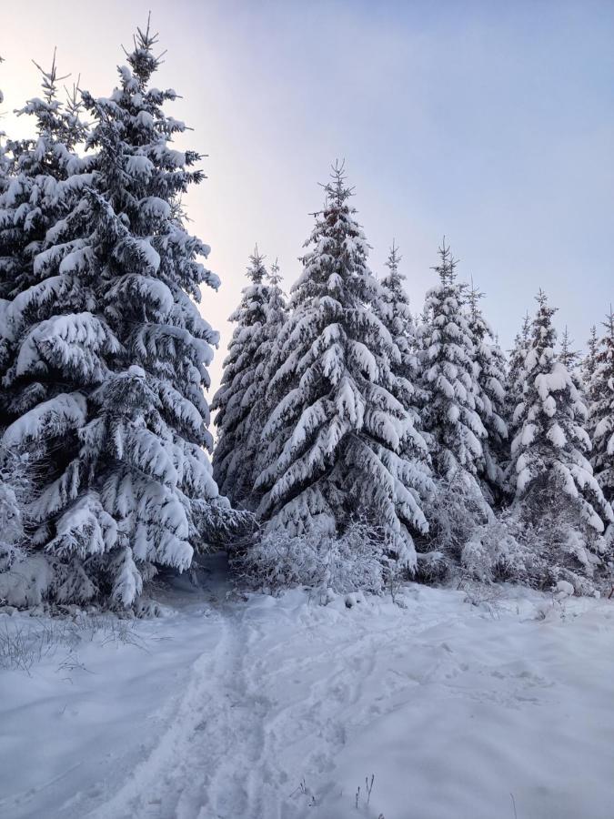 Le Clos Du Cerf - Le Sous-Bois Stoumont Zewnętrze zdjęcie